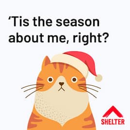 Grumpy cat cartoon 'Tis the season about me, right?' funny Christmas ecard