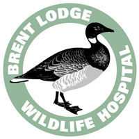 Brent lodge