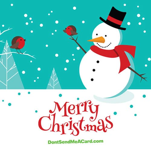 Snowman Robin Christmas ecard