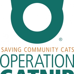 Operation Catnip eCards