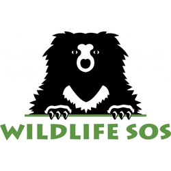 Wildlife SOS eCards