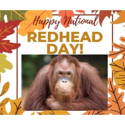 Happy National Redhead Day! eCards