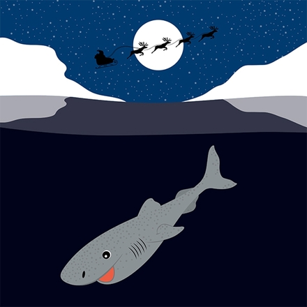 Send a Shark Trust e-card this Christmas eCards