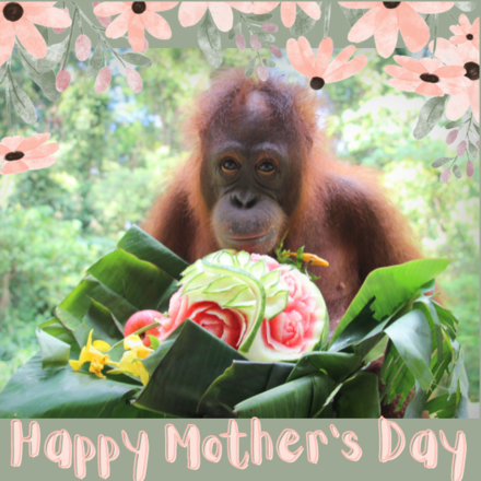Send a Mother's Day eCard eCards
