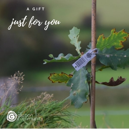 Send an ecard to show someone that you care about them & nature eCards