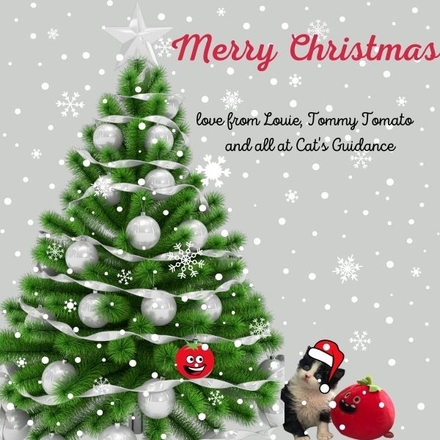 Send our Louie & Tommy Christmas e-card! eCards