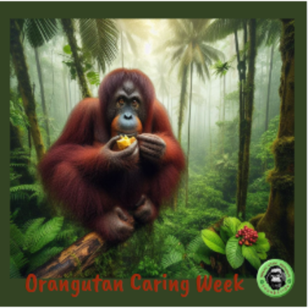 Send an E-Card to celebrate Biodiversity and Orangutan Caring Week eCards