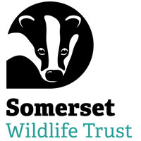 The Wildlife Trusts Somerset logo
