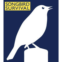 Songbird Survival