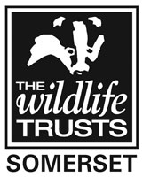 The Wildlife Trusts Somerset logo