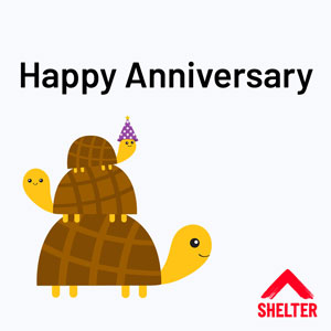 Turtle happy anniversary ecard