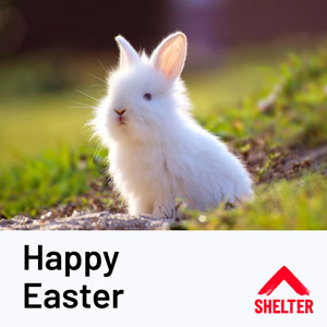 White fluffy cute rabbit 'Happy Easter' ecard Shelter