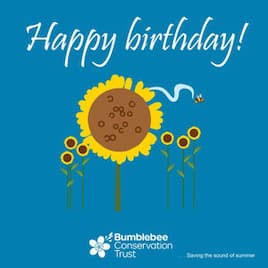 Birthday ecard bees flying around sunflower 'Happy birthday!' birthday ecard