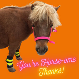 Horse-some thank you ecard