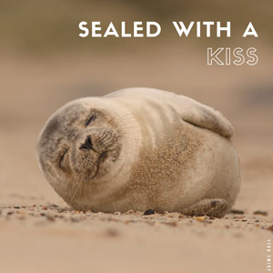 Seal 'Sealed with a kiss' Valentine's Day ecard