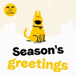 Dog smiling 'Season's Greetings' christmas ecard