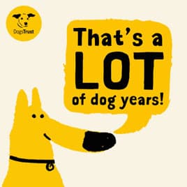 Cartoon dog 'That's a lot of dog years!' funny dog birthday ecard