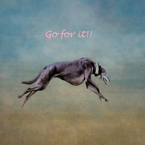 Lurcher good luck ecard