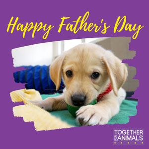 Puppy Father's day ecard