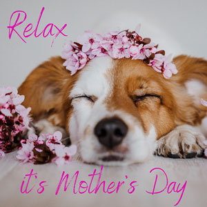 'Relax it's Mother's Day' Mother's day ecard