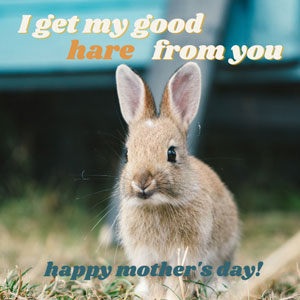 Hare 'I get my good hare from you' funny Mother's Day ecard USA
