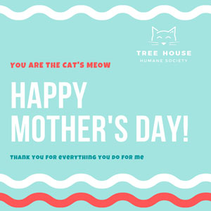 'You are the cat's Meow' Mother's Day ecard Tree House Cats USA
