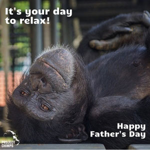 Gorilla 'It's your day to relax' Father's day ecard