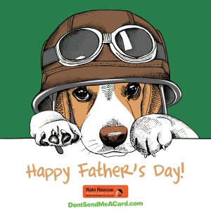 Dog in helmet with goggles on top Father's day ecard