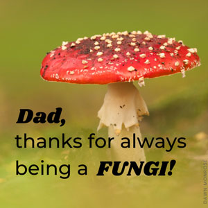 Toadstool mushroom 'Dad, thanks for always being a FUNGI!' Father's day ecard