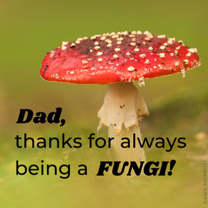 Toadstool mushroom 'Dad, thanks for always being a FUNGI!' Father's day ecard