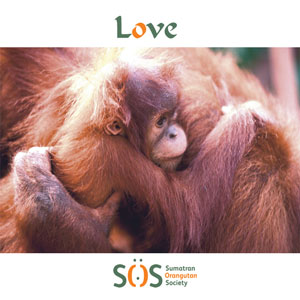 Orangutans hugging 'Love' Valentine's Day ecard