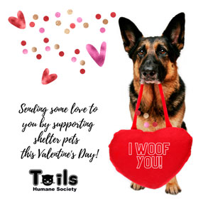Alsation heart bag Valentine's ecard