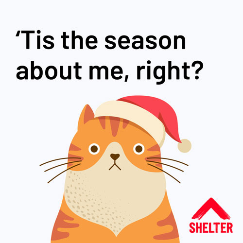 Shelter Christmas ecard