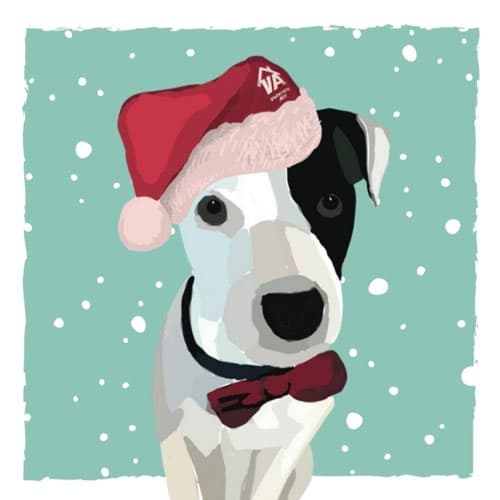 Dog in Christmas hat Veterans Aid Christmas ecard