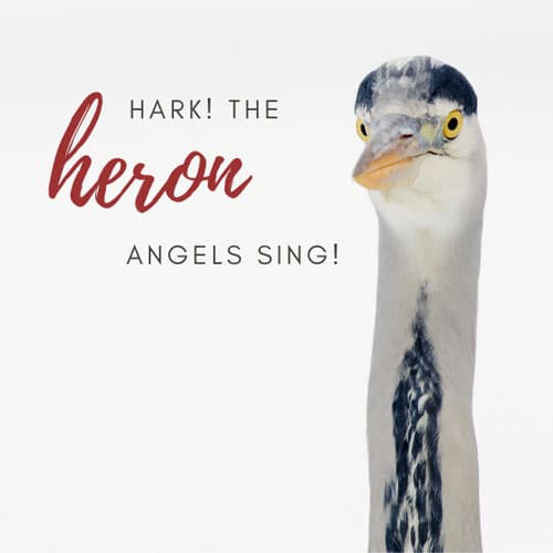 Hark the heron angels sing