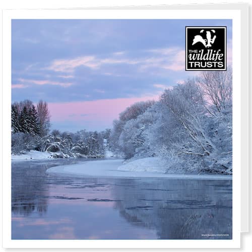 Winter snow scene Wildlife Trusts Christmas ecard