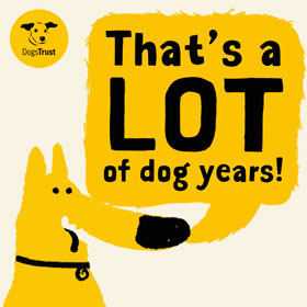 Funny Dog birthday ecard
