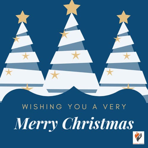 Three christmas trees 'wishing you a very merry christmas' card