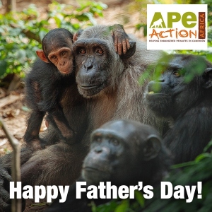 Apes 'Happy Father's Day' Father's day ecard