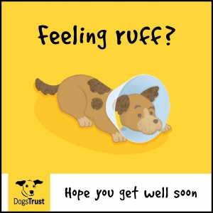 Feeling ruff dog get well ecard