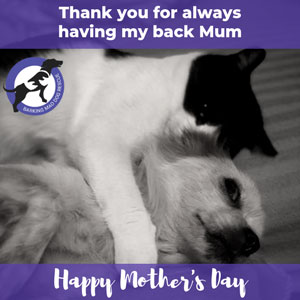 Cat and dog 'Thank you for always having my back Mum' Mother's day ecard