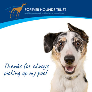 Dog 'Thank you for always picking up my poo!' Mother's day ecard