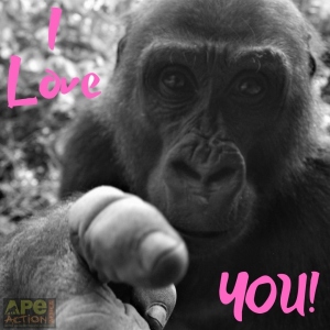 Gorilla 'I love you' Valentine's Day ecard