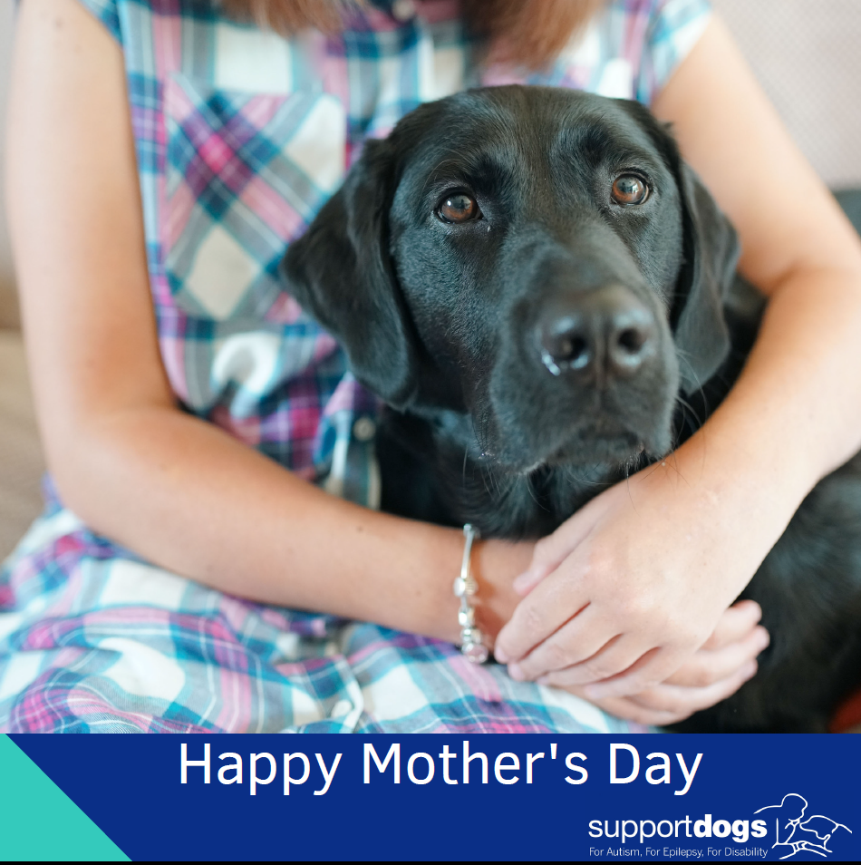 Send a Mother's Day E-Card eCards