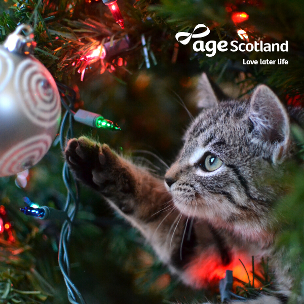 Send Christmas E-Cards eCards