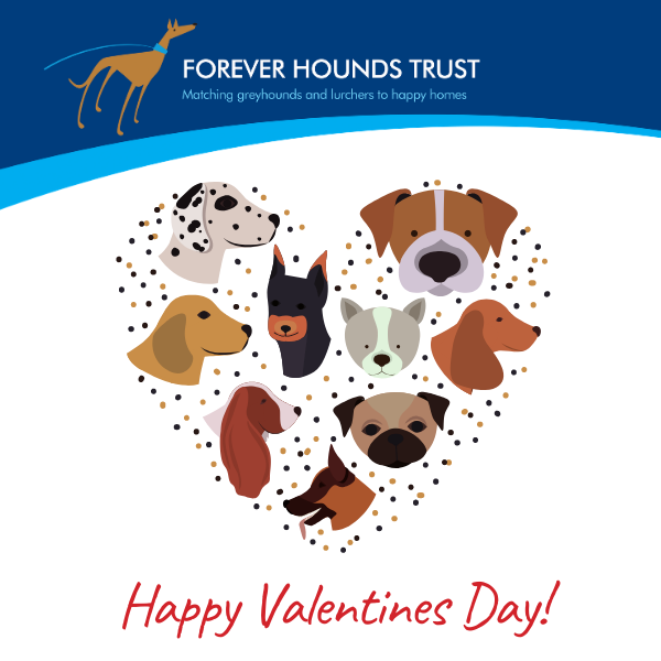Send a Valentine's E Card eCards