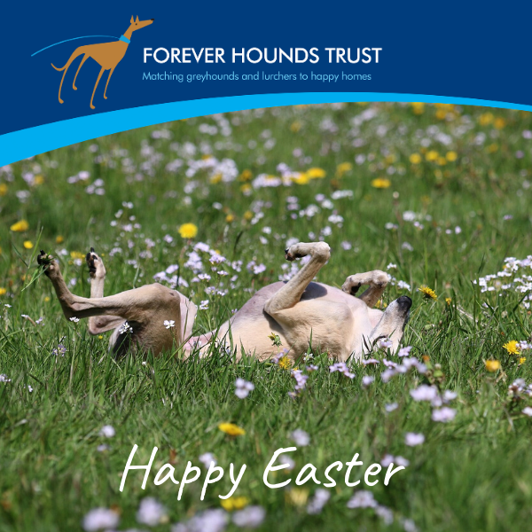 Send an Easter card eCards