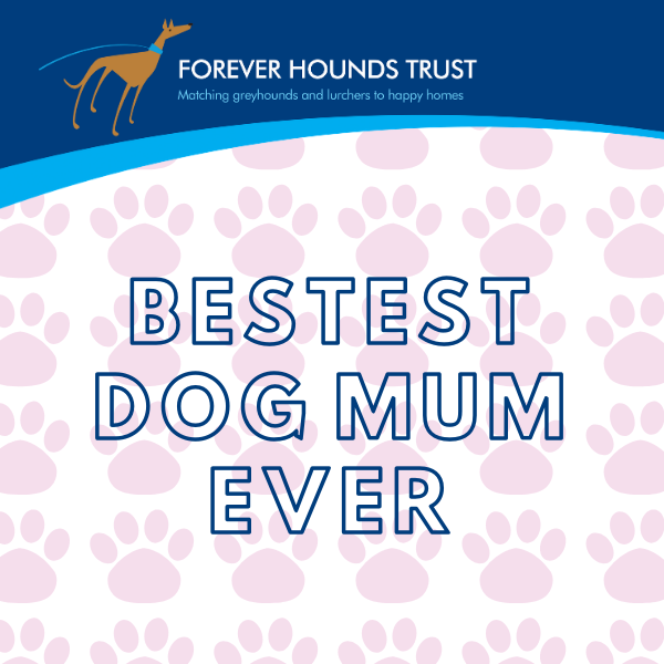 Send some love this Mother's Day eCards