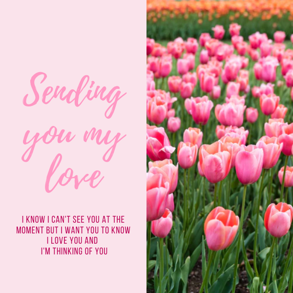 Sending you love eCards