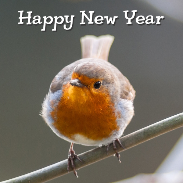 Send New Year E-Cards eCards